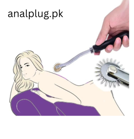 Erotic Stainless Steel Pinwheel