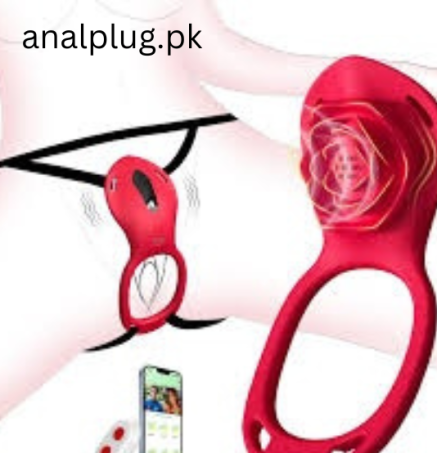 Couples Rose App Remote Control Wearable Vibrator In Pakistan