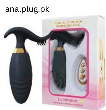 Silicone Egg Vibrator With Remote In Pakistan
